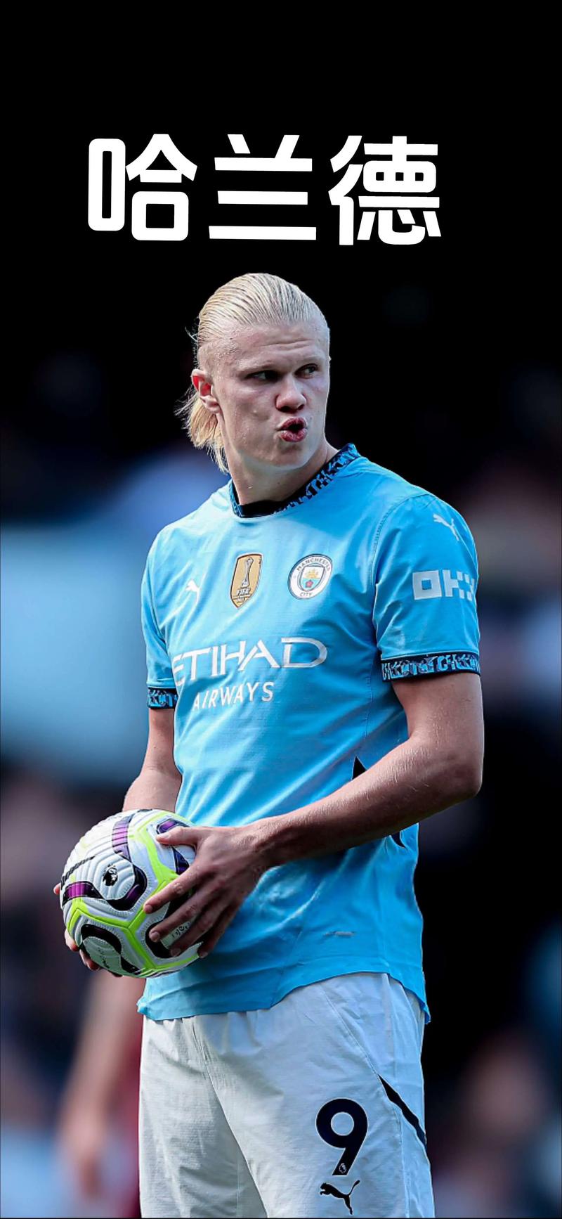 得以实施 得以实施